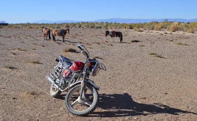 Motorbikes for Gobi Rangers