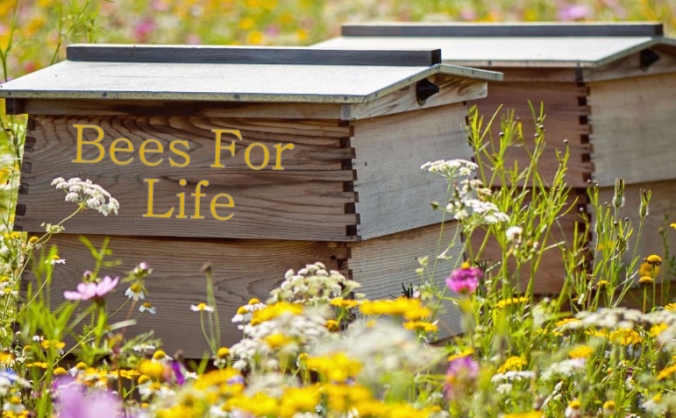 Bees for Life