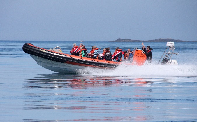 Poole Harbour Seafaris