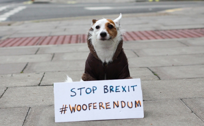 Wooferendum