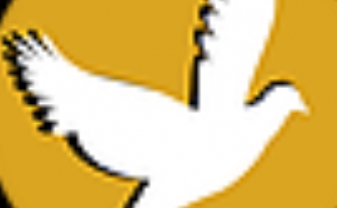 Christ Revelation Vision