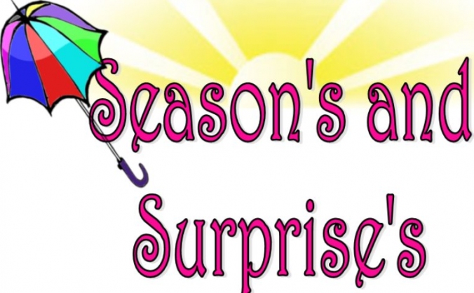 Seasons and Surprises Subscription Box