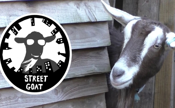 Street Goat