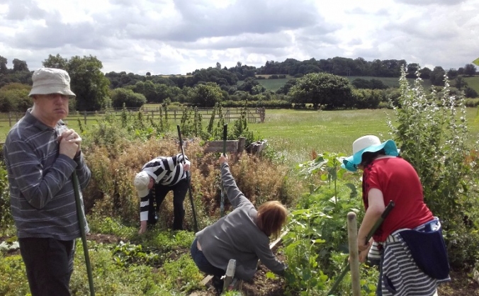 Living Potential Care Farming CIC
