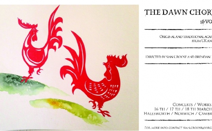 The Dawn Chorus