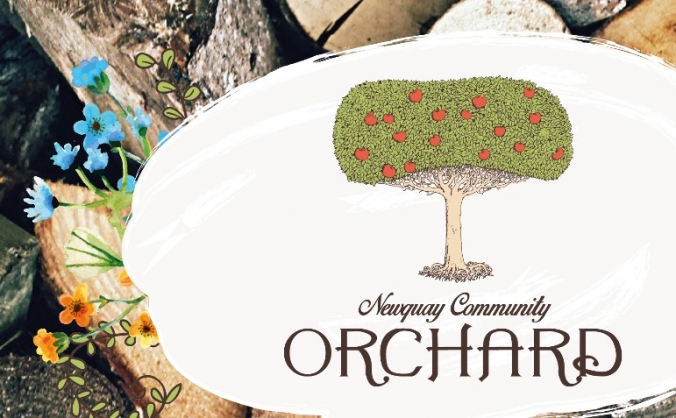 Newquay Orchard Forest Den and Wood Workshop