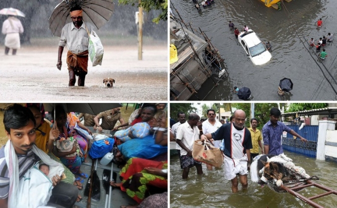 Chennai Flood Relief
