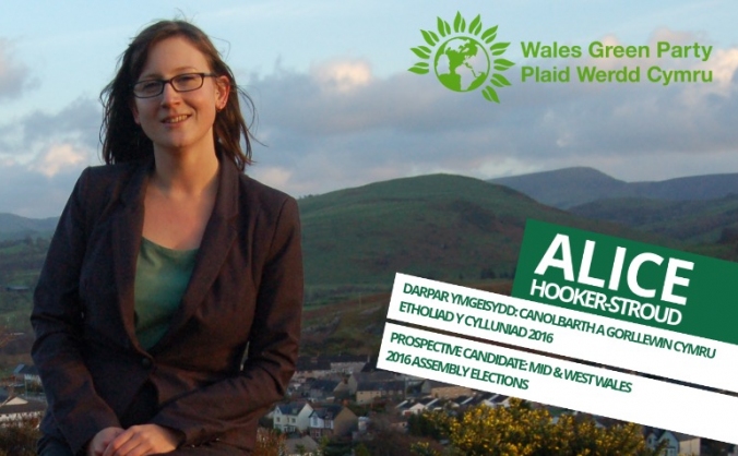 Elect Alice Hooker-Stroud as Wales' first Green AM