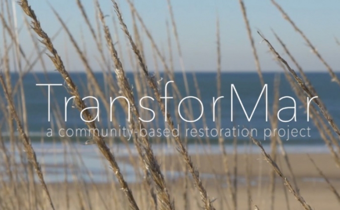 The Dune Project 001 - TransforMar