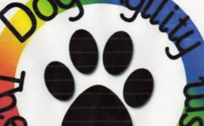 Dog Agility Therapy Autism