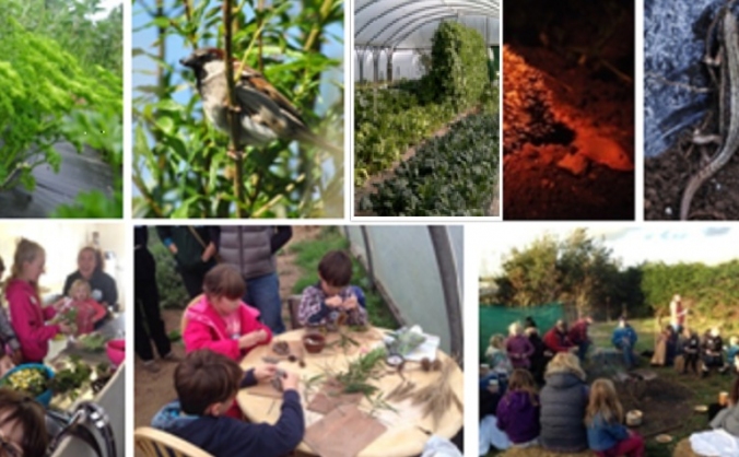 Newlina Eco-Gardens Community Wild Garden Project