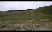 Cambrian Wildwood Project