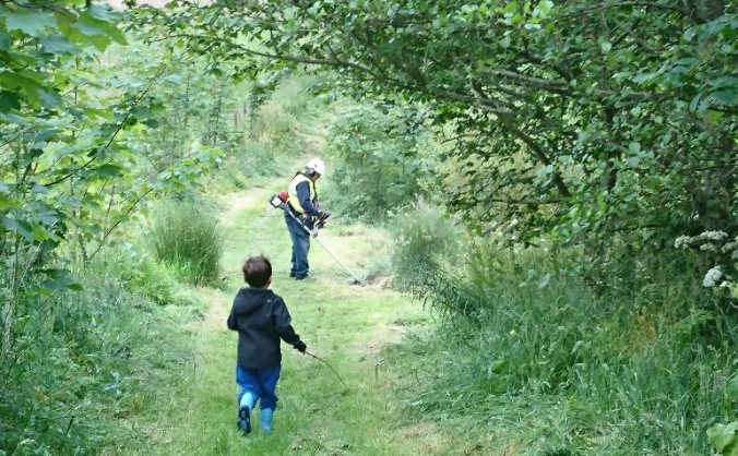 Cove Woodland Trust