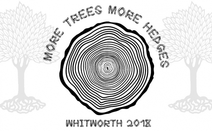 New woodland and hedgerows at Slacks Farm
