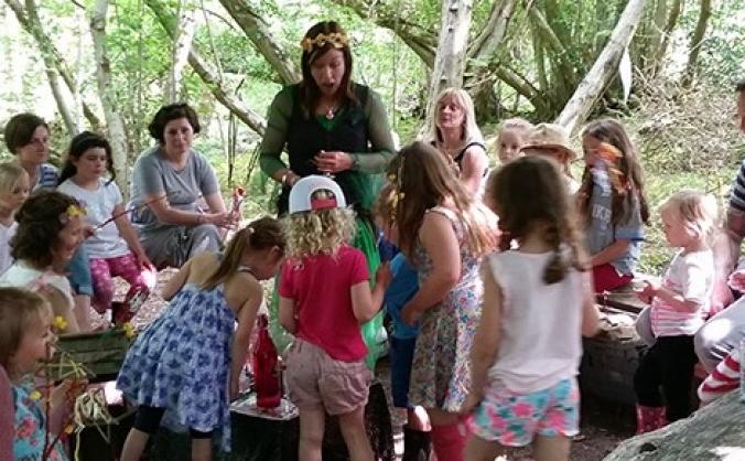 The Fairy Preservation Society