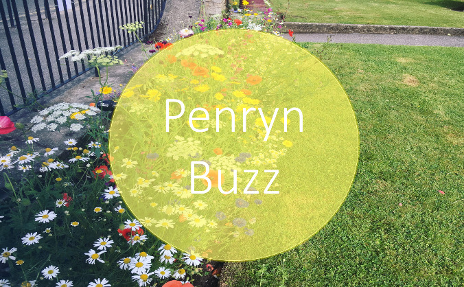 Penryn Buzz Planting Project