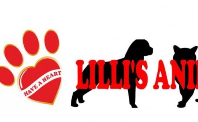 Lilli's Animal Rescues