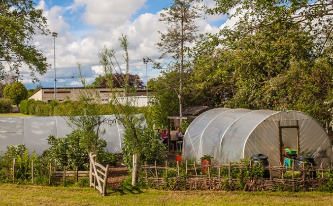 The Edible Garden Project - Bridport