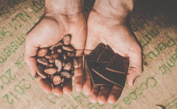 Chocolarder's new roaster and factory