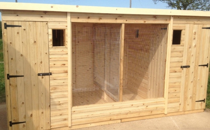 Construction of rescue center for PIGEONS