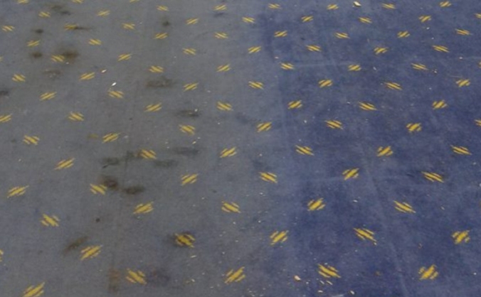 Eden's carpet project