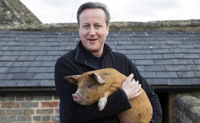 Lets get Dave his dream pig!