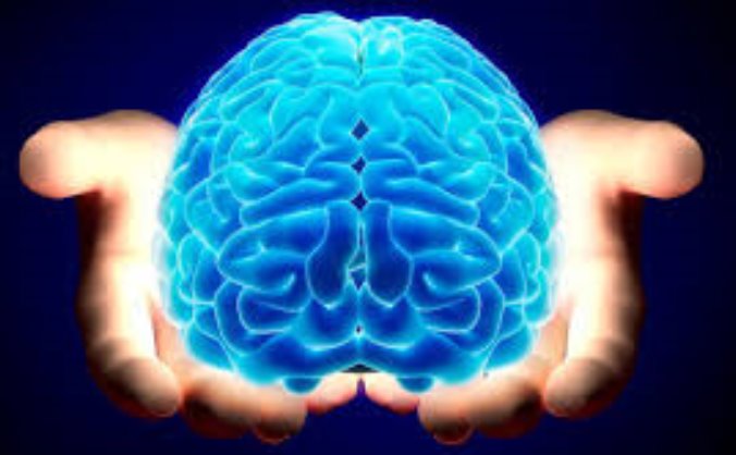 Funding my PhD in head injury management