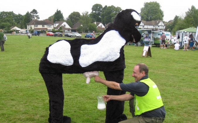 Epsom Common Day 2018