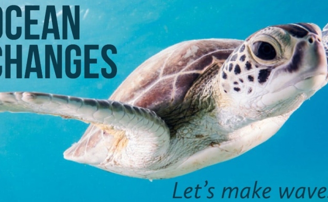 Ocean Changes - Beach Clean funding