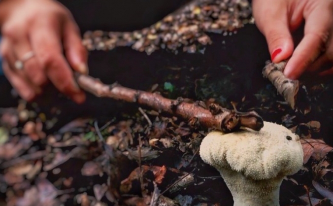 Spring into Sound: play time for our generations