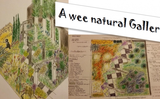 A Wee Natural Gallery Show Garden