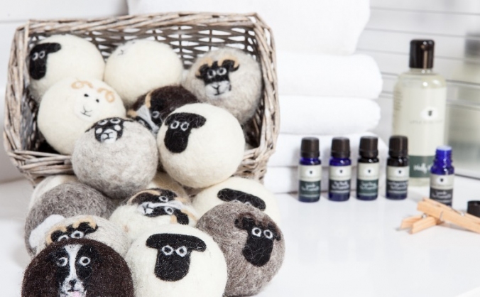 LITTLE BEAU SHEEP