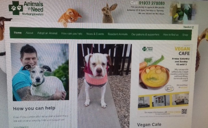 animals in need/vegan stall for bedford river fest