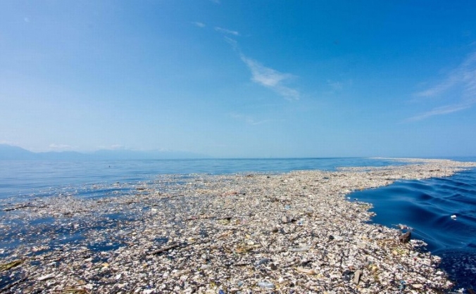 Help clean the seas of plastic rubbish