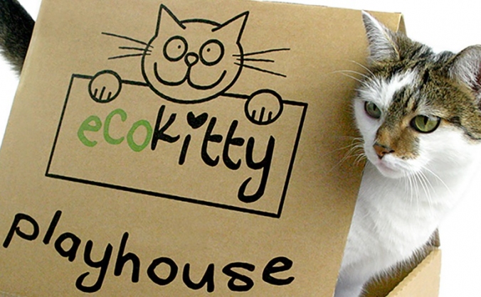 EcoKitty