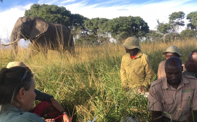 Teaching to Improve Captive Elephant Welfare