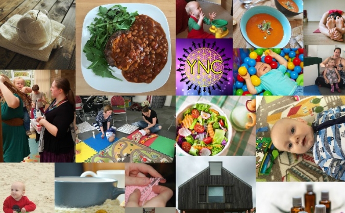 York Nurturing Community (YNC)