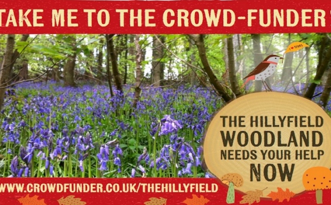 The Hillyfield Appeal, Standing Up for Small Woods