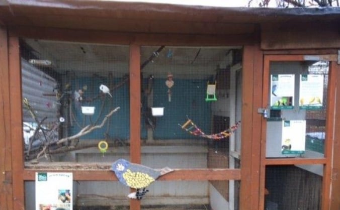 A new home for the Birds at Vauxhall City Farm