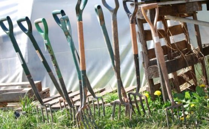Outdoor Willow Classroom