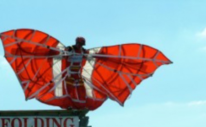 Bognor Regis Birdman