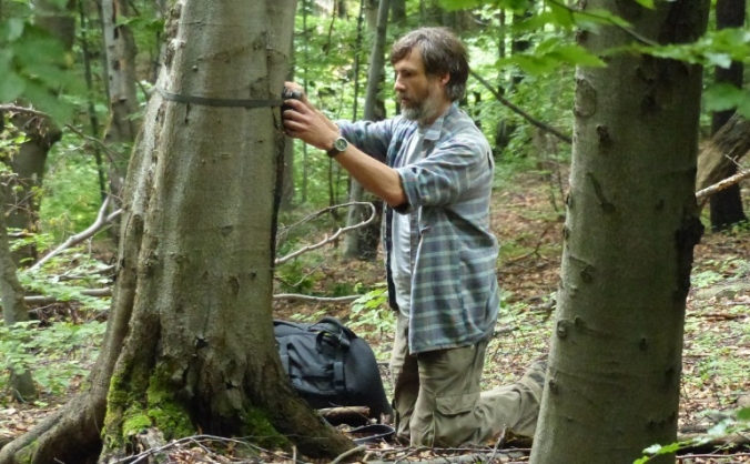 Rare Mammal Survey North Wales