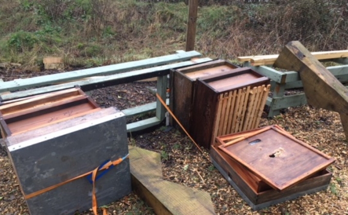 Scotswood Natural Community Garden