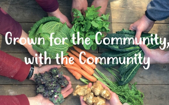 Powering Farnham Community Farm Forward