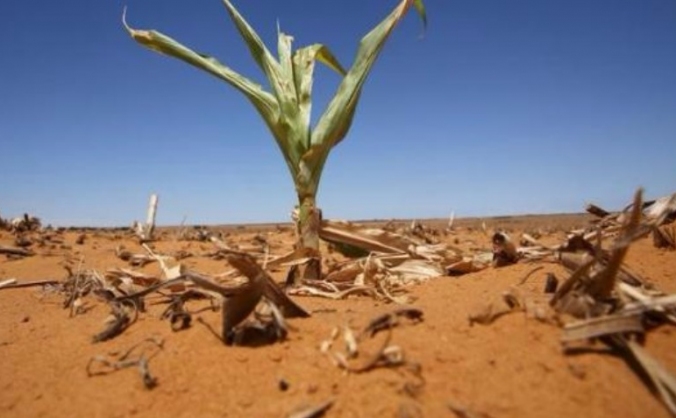 Zimbabwe Starvation Fund