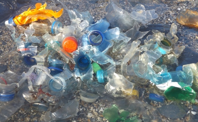 Beach Guardian Remove & Reuse Plastics for 1 Year