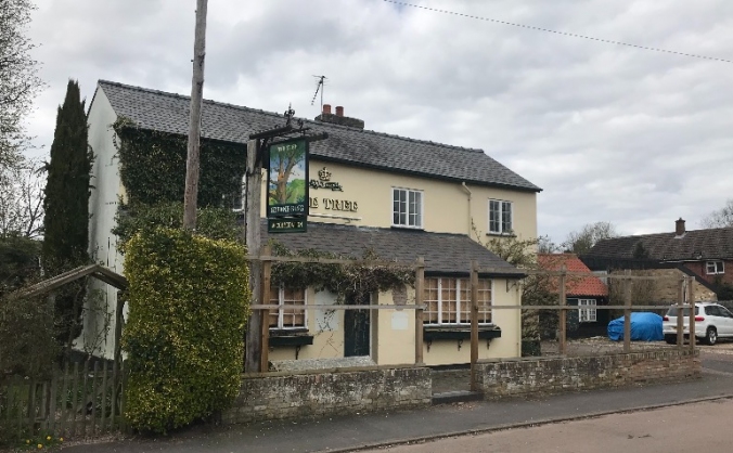 SAVE THE TREE - STAPLEFORD
