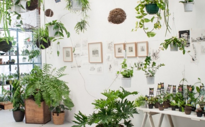 Stephen's Plant Shop