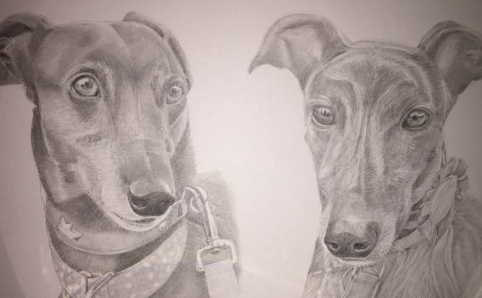Valentines Surprise for the Dunrunnin Doggies