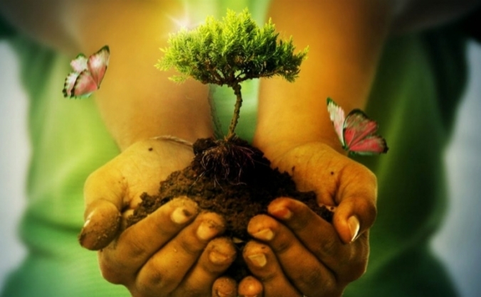 We make Sustainability work, then climate change
